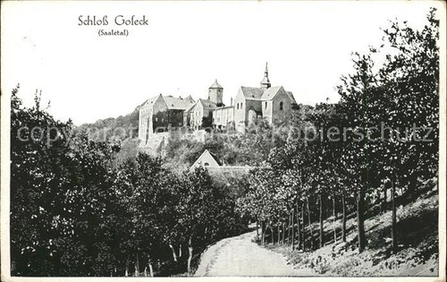 Saaletal schloß goleck - schloß,